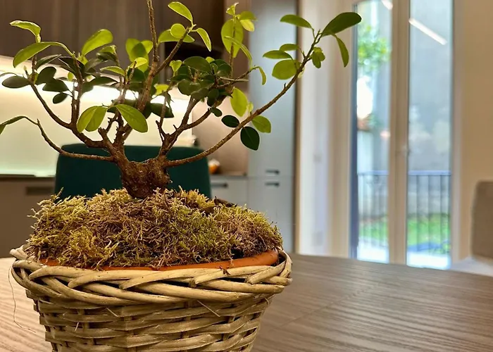 アパート Lr Deluxe - Porta Venezia - Bilocale Con Giardino Privato
