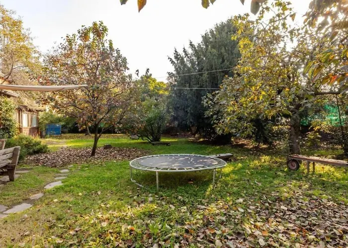 Tiny House On Water Surrounded By Greenery *