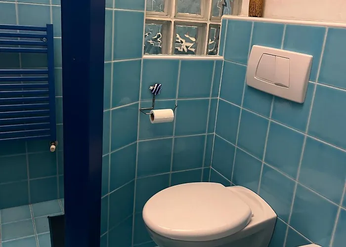 Max - Exclusive - Station