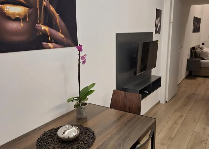 Apartamento Palmanova Bilocale In Affitto Breve *