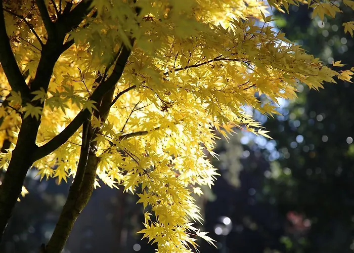 Apartamento Bilocale Indipendente *