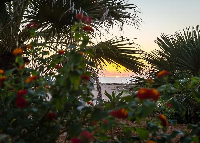 Hotel Cavalluccio Marino Hotel Lampedusa