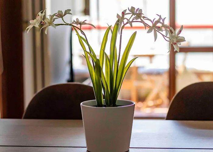 Daire Bright House - Carozzi *