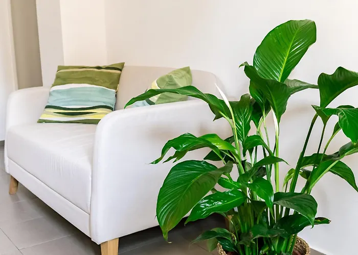 Maison Davia * מילאנו