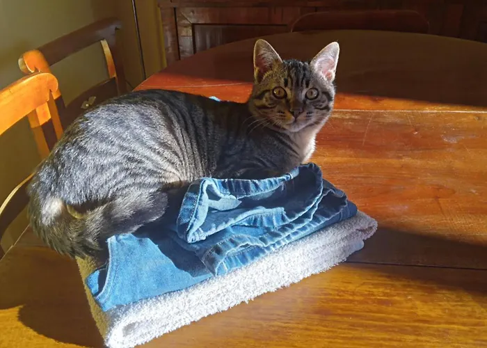 Privat bolig Bovisa Il Design Avanza