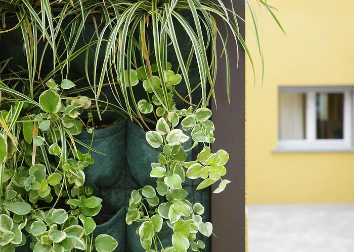 Apartmanhotel Agave In