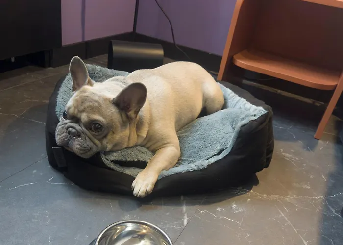 Casual Eclettico מלון