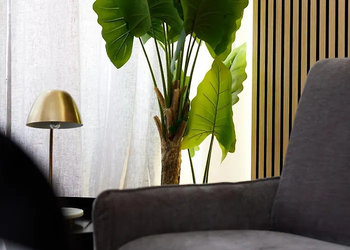 Duomo Imperial Suits - Modern And Comfortable *