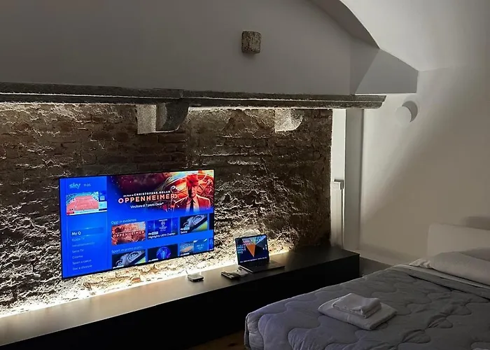 Luxury Loft 公寓 米兰