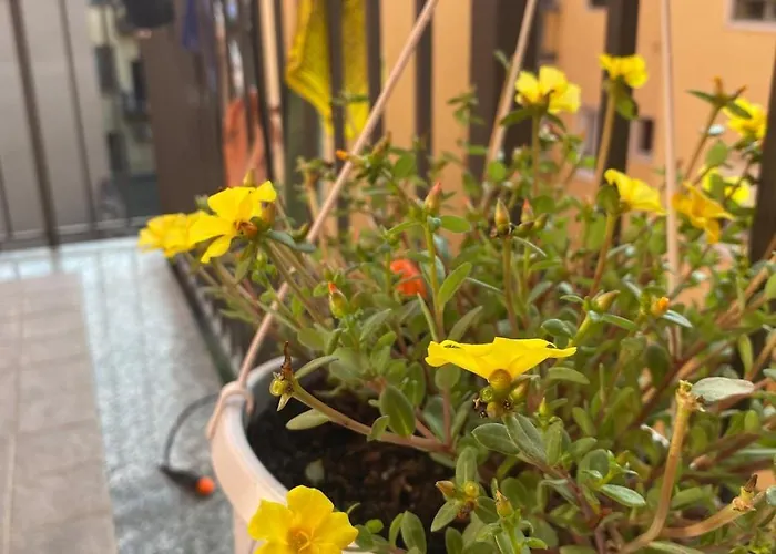 Luce Place Authentic Getaway Lägenhet *