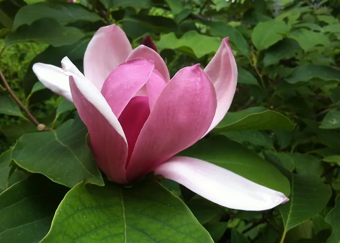 Navigli Downtown Cocco House Милан