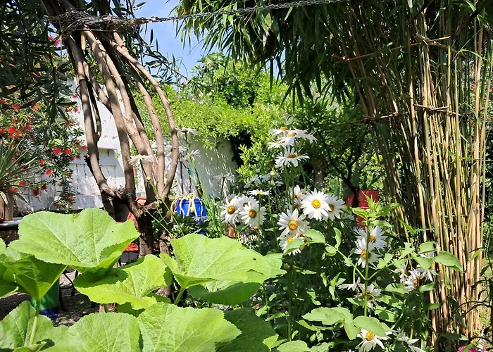 With A Garden Homestay Milan