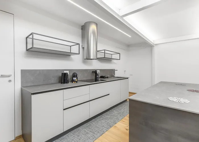 公寓 Luxury Loft Garibaldi Moscova 米兰