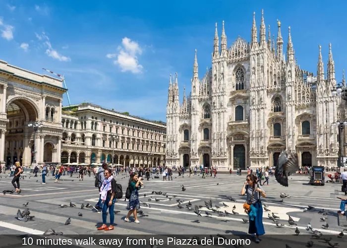 Sweett - Cerva * Milán