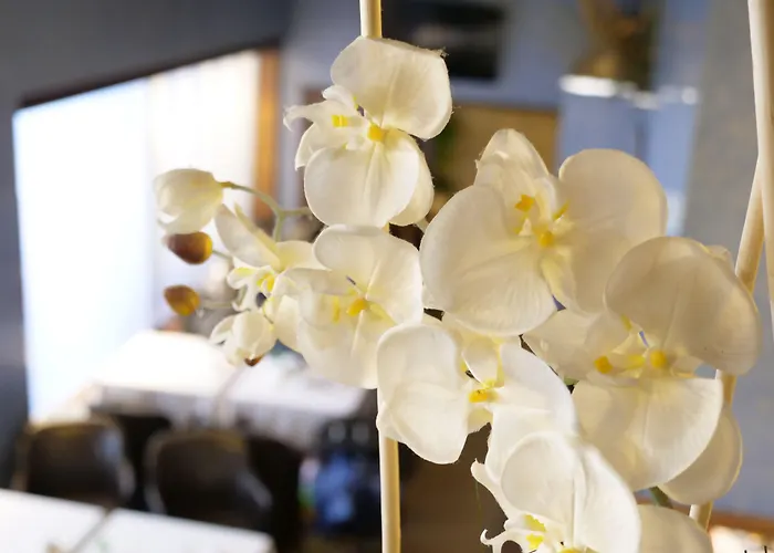 Michelangelo 4* Milano