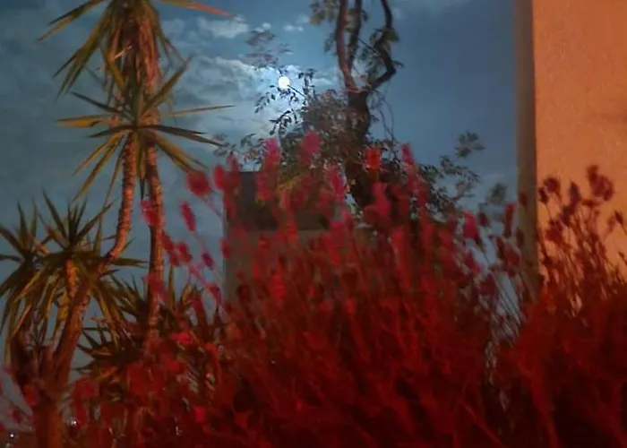 Mountain View * Milánó