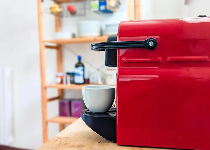 Apartment Large With Terrace *