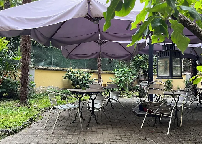 酒店 帕拉迪索酒店 2*