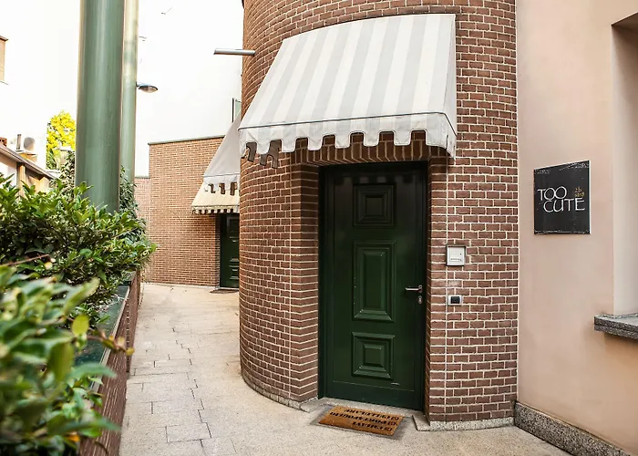 Citta Studi - Collection