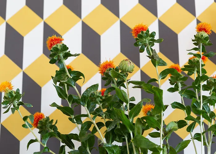 Zebra Naviglio 4* Milano