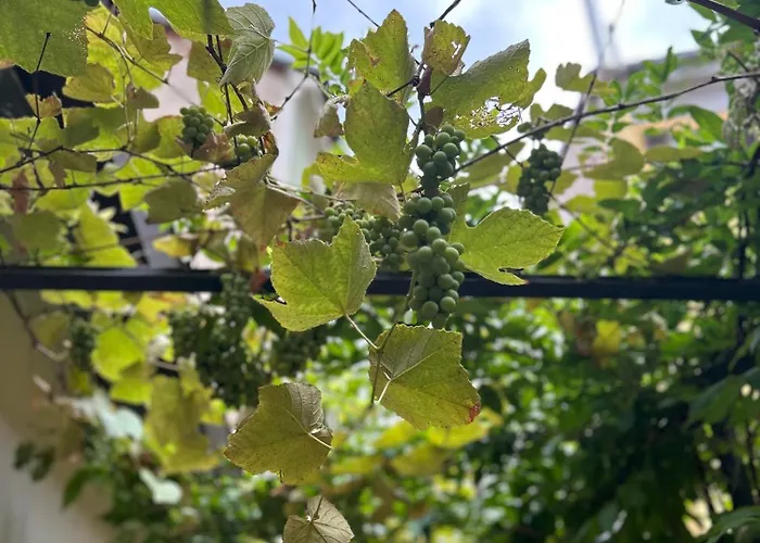 Bed & Breakfast Residenza Radetzky Milaan