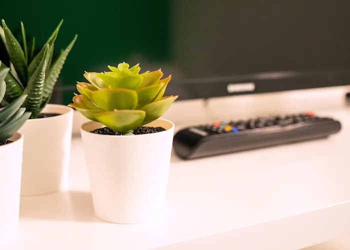 Blocco Sauli Pensión 3*