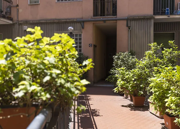 Dream Experience - Garibaldi *