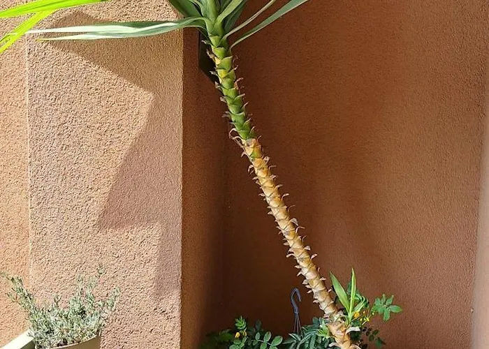 Brand New - 5 Minutes From Istria Metro Station 밀라노