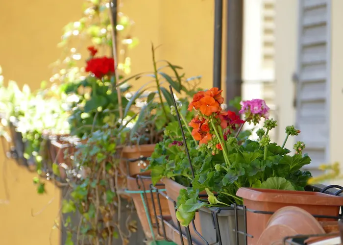 Nonna Nilla, A Large And Cozy Flat In Porta Venezia Апартаменты Милан