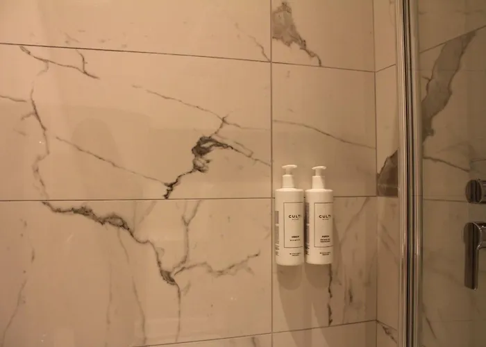 Homa Certosa District 2*