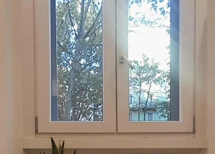 Sole Fiori Milano