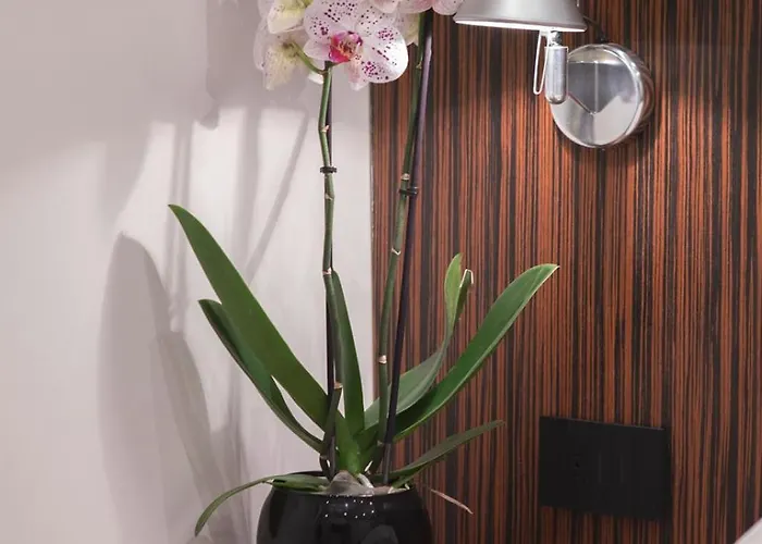 The Place Konukevi Milano