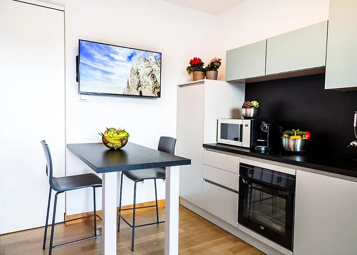 Unit D With View And Terrace * Mediolan