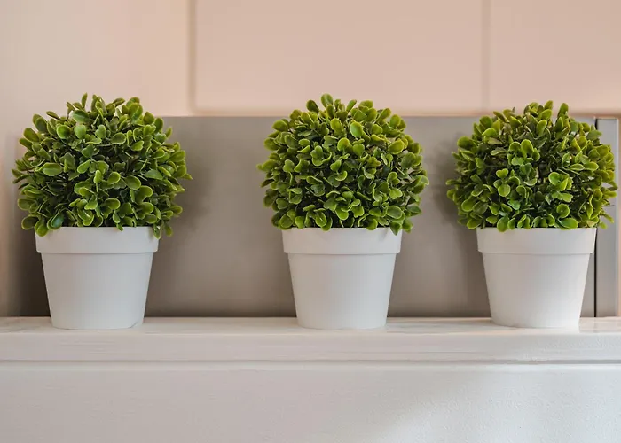 Guest Planet - Arco Della Pace *