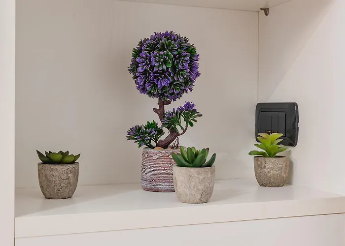 Guest Planet - Arco Della Pace *