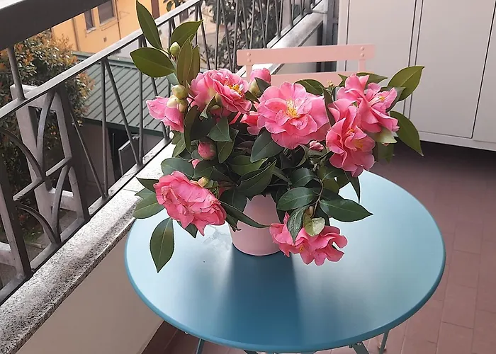 Emotion 20 E Sei A Casa In Centro! Milaan