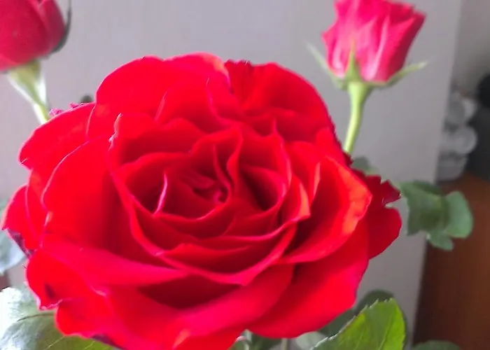 Bed & Breakfast Le Due Corti Milano