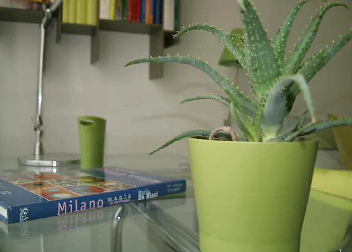 Oda ve Kahvaltı Linea