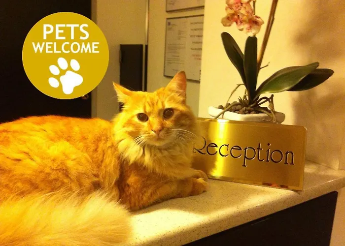 帕拉迪索酒店 米兰