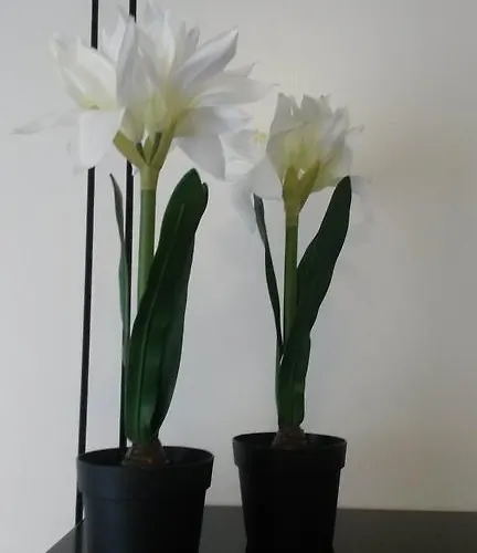 大教堂一刻钟旅馆