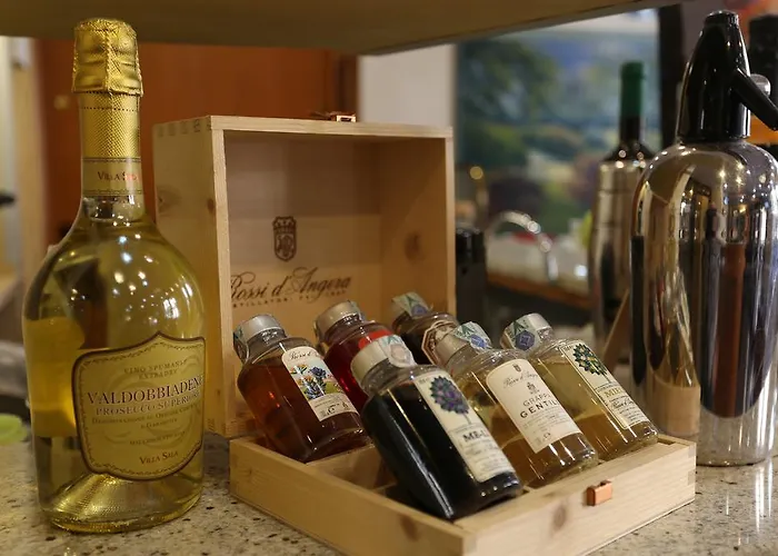 酒店 皮亚琴察酒店 米兰