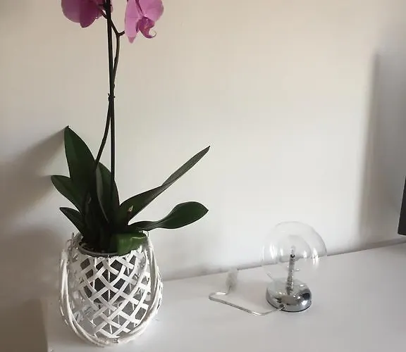 Volta In Brera * Mailand