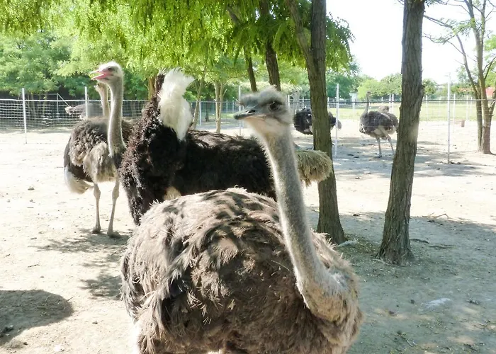 Dolce Luna בית חווה מילאנו