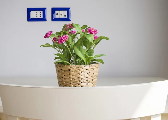 Apartament Primopiano - Rg12