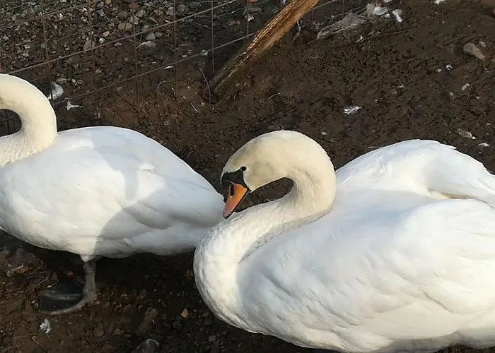 Dolce Luna בית חווה מילאנו