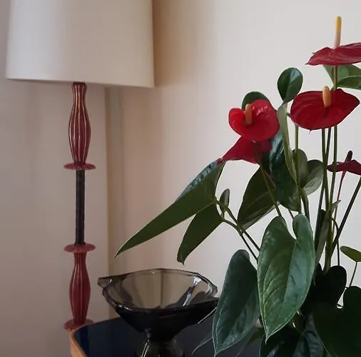 Bronzino House 3* Milão