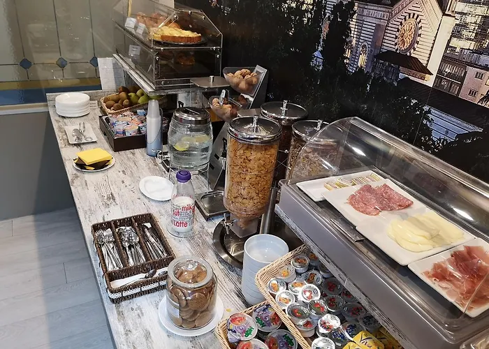 酒店 皮亚琴察酒店 3*