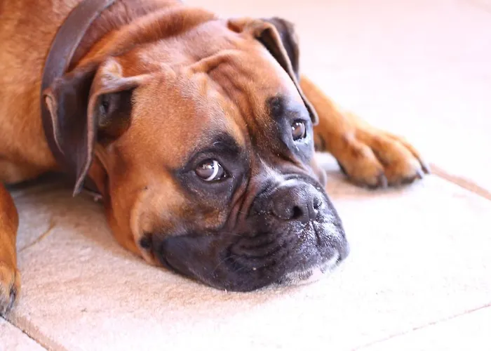 מלון Mec מילאנו