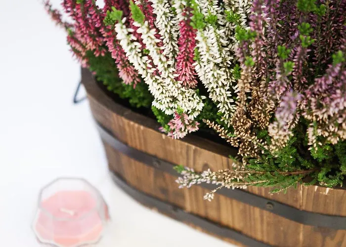 波尔泰洛阿莱西亚公寓 公寓 *