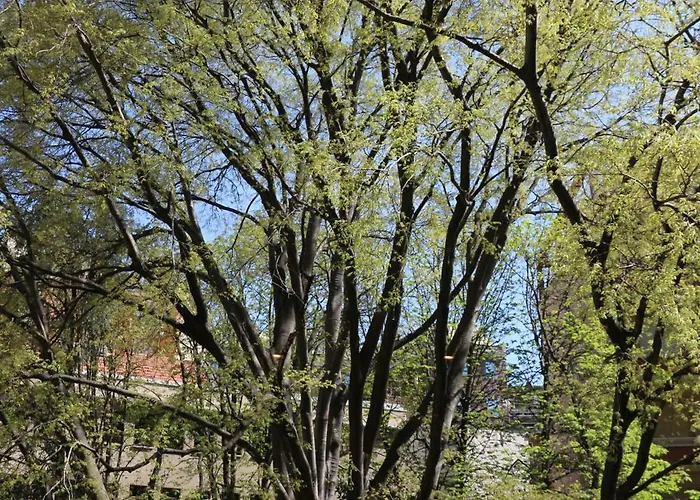 Serendipity Casa de hóspedes 4*